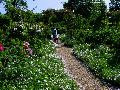 gal/holiday/Nymans Gardens 2003/_thb_Rose_Garden_DSC08667.JPG